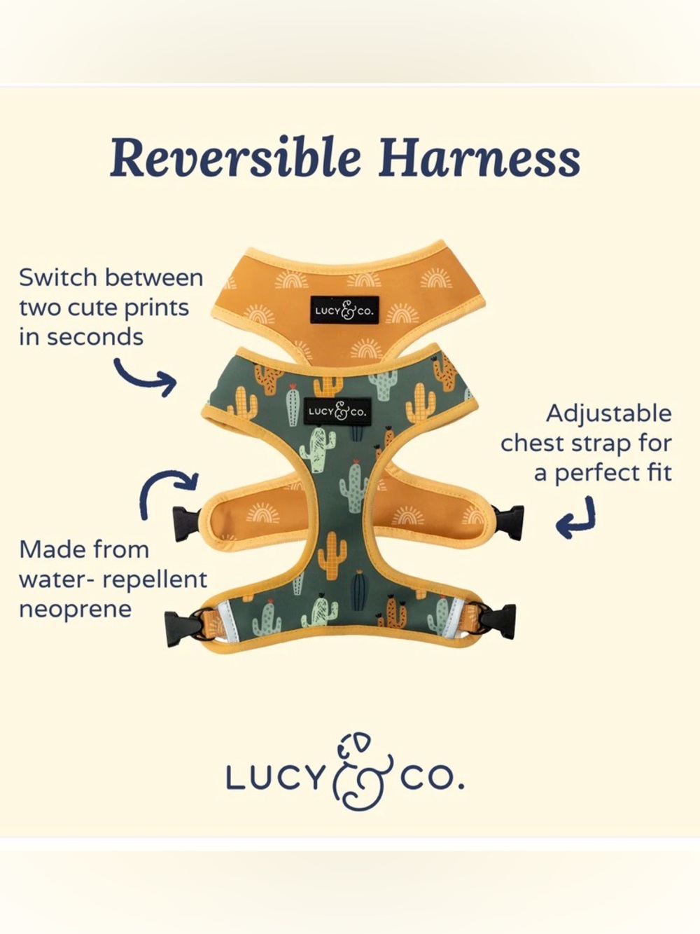 Lucy & Co Looking Sharp Reversible Harness